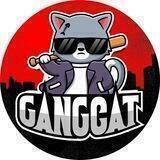 Gang Cat Announcements