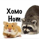 Хомонот