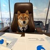 FLOKI CEO $FLOKICEO