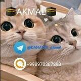 отзыв акмал