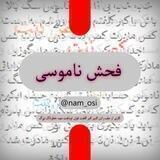 فحش ناموسی