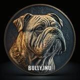 Bully Inu Entry