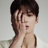 Cha Eunwoo