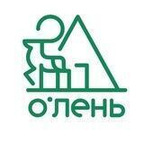 О'ЛЕНЬ лесной отель с баней и чаном