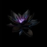 [Перезагрузка]°Black Lotus°