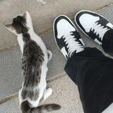 Join My Life