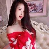 佛山甜甜猫的秘密花园