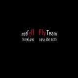 Fly team expert