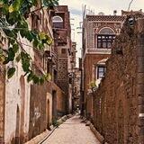 طــيرفهہ صنعانيهہ ♥️🍂