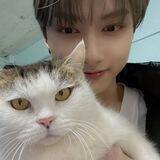 Junhui.