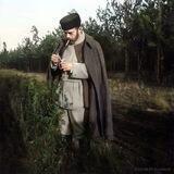 Онлайн Дневник Николая II 1894- 1916 (1895)