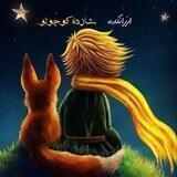 لباس بچه گانه شازده کوچولو