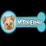 Morkie Inu China 🇨🇳中文