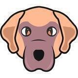 Hank Inu Official (English)