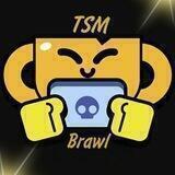 Турниры по Brawl Stars от TSM
