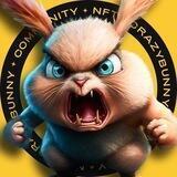 CrazyBunny Global Group