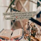 قناه خيره وتوقعات شيلان محمد