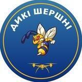 Дикі шершні 🐝 | Ударні дрони-камікадзе🧨🚀