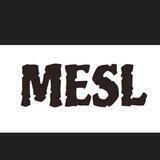 Mesl Metaverse