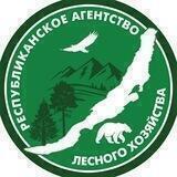 Лесное хозяйство Бурятии🌲