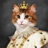 Шерстяное царство
