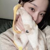 Samoyed
