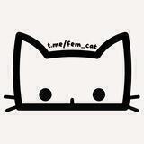 ФемКошка 😼