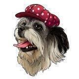 Бородатики и не только 🐾