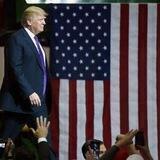 DONALD TRUMP