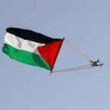 عرين الاسود🖤