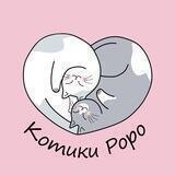 Котики Катрины
