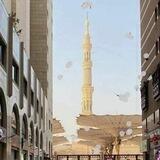 🌸قناة نسائية سلفية🌸
