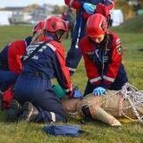 🚒 События МГО ВСКС