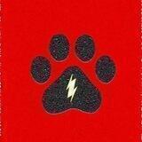 DogeFlash⚡️闪电狗⚡️中文社区