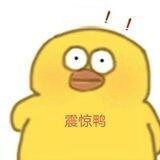 （禁广告）🇨🇳小黄鸭的鸭窝🇨🇳—XZ工作室