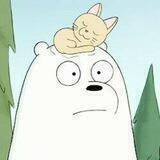 ⊹ ִ ֹ ฅ Icebear 𔔀 ♡