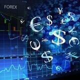 FOREX TRADE INVESTMENT
