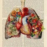 تنفسات...breaths 💛