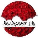 Розы Георгиевск 🥰