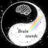 【Brain sounds🧠صداهای مغز】