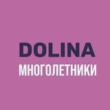DOLINA. Многолетники