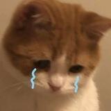 𝐍♡𝐁𝐈𝐓𝐀 𝐏𝐄𝐑𝐒𝐎𝐍𝐀𝐋