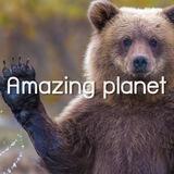 Amazing Planet 🌍