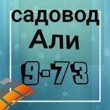 Али 9-73