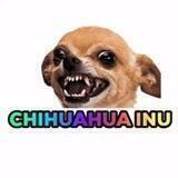 ChihuahuaInu