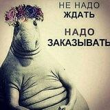 Екатерина Стильная