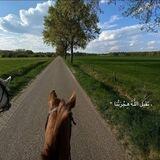 هِجْـرَة " ☘️
