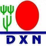 DXNالماليزيه القابضه