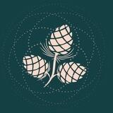 AV ORGANICS