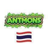 Antmons Thailand